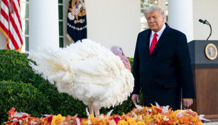 50642878886 d74ec9e316 b 1000x600.jpg