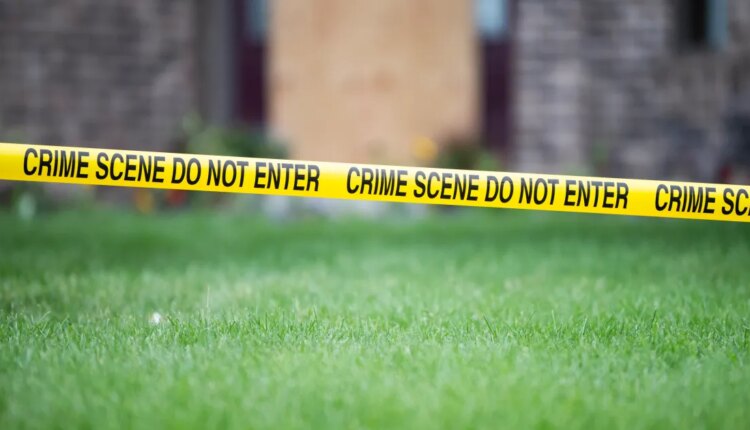 Gettyimages 2219575521.jpg