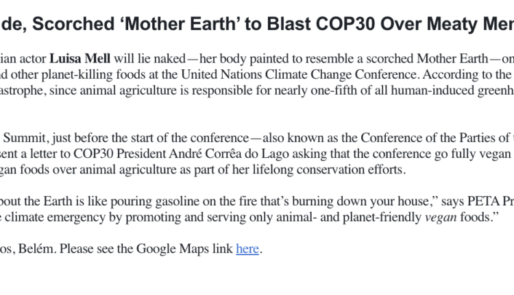 Screenshot 2025 11 04 at 16.57.28.png