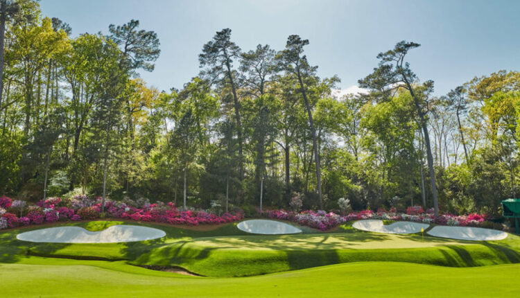 Azalea vgxstm 1000x600.jpg