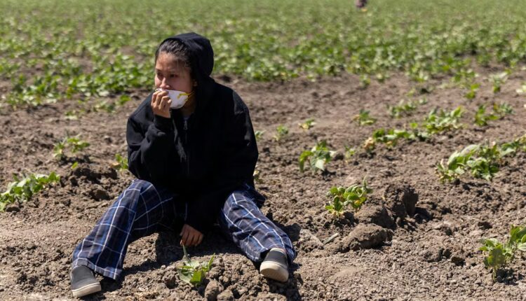 File 20251125 56 tx6tde.jpg