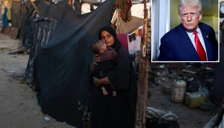 Newspress collage wr9jcl99y 1763521320682.jpg