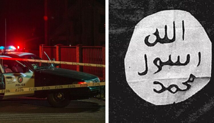 Original pic 2025 11 17t144316.461.jpg