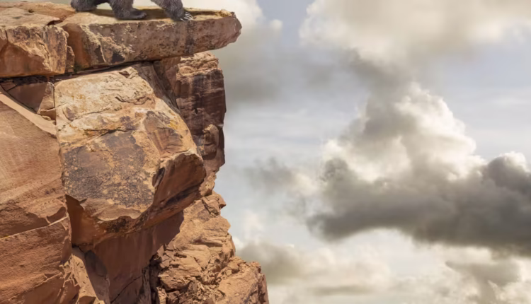 1766153314 social.avif