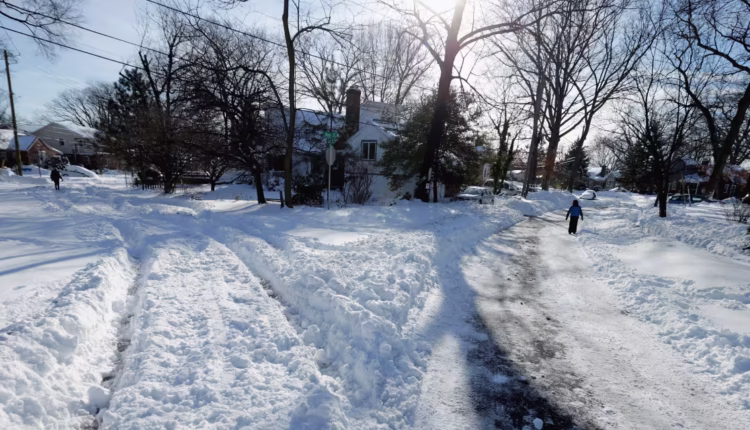 1766239897 social.avif