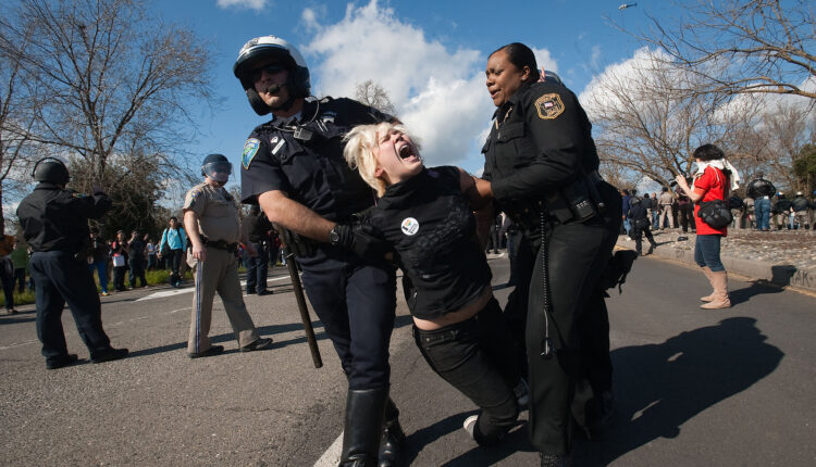 4407169263 50b0fddff1 k.jpg