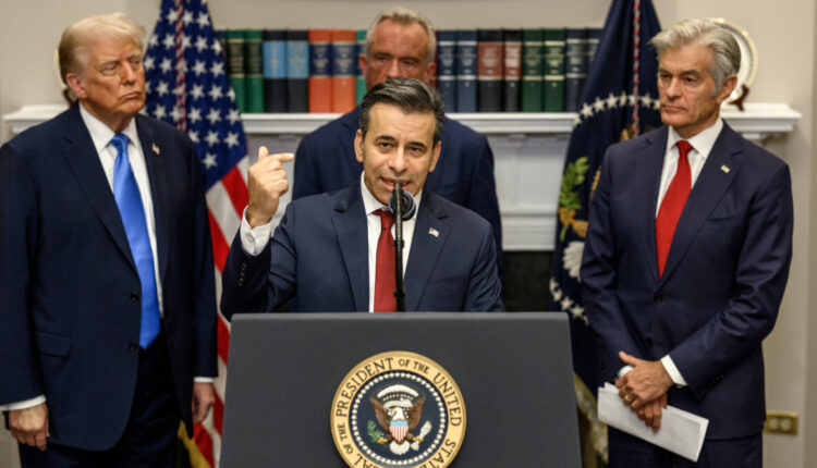 54811405429 790ffe4185 k e1765382983612.jpg