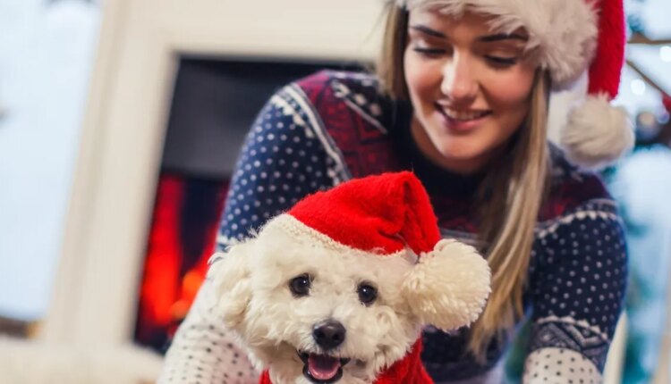 654cec50 4f91 41a5 97f0 2265fbcc767e 1765224143.jpg