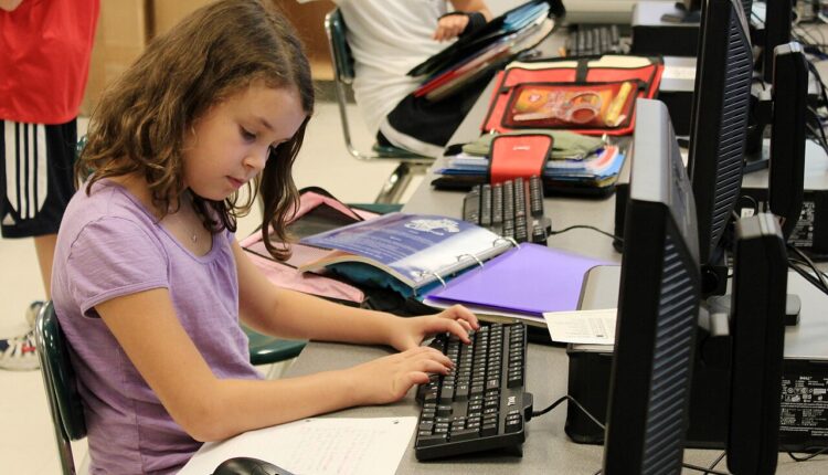 Student on computer.jpg