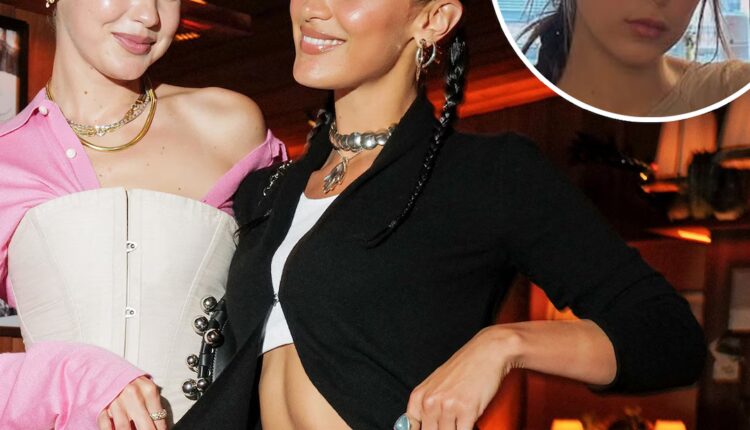 D938a44d f455 427a bad7 ba7e13a2c26d 1767137580.jpg