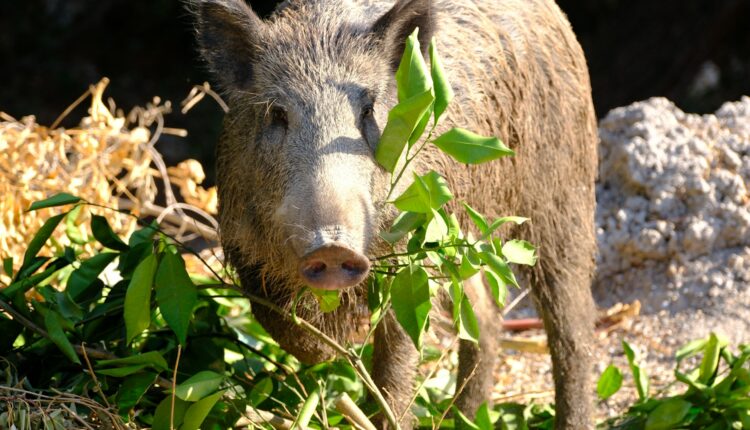 Dogan alpaslan demir dpdAngtbZlw unsplash.jpg