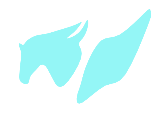 Exercise pegasus.png