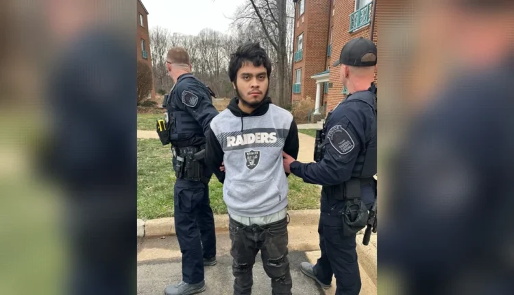 F0f3d09d 3adb 45ff 8107 830f704ab9ca Untitled16 9Landscape8.png.webp.webp