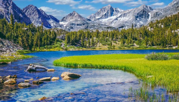 File 20251205 56 qinmgr.jpeg