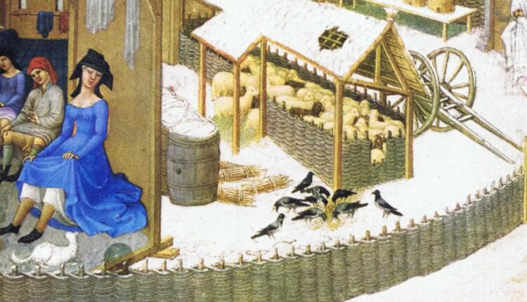 File 20251218 56 97c75v.jpg