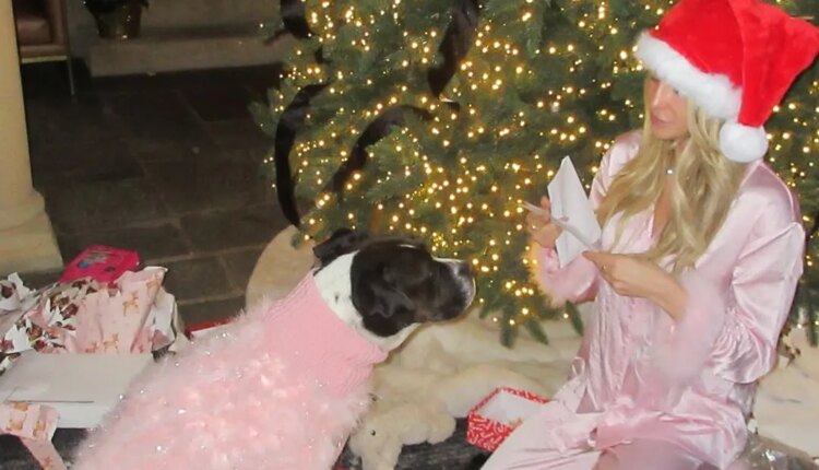 Influencer alix earle officially adopts he foster dog asia on christmas best buddy for life.jpg