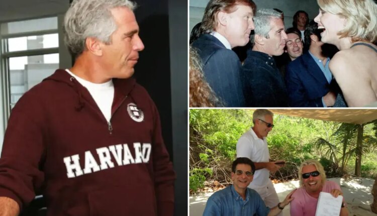 Newspress collage x0wjyzne7 1765673482591.jpg