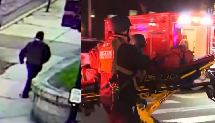 Original aphoto 288729.png