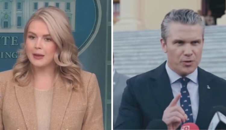 Original leavitt hegseth.jpeg