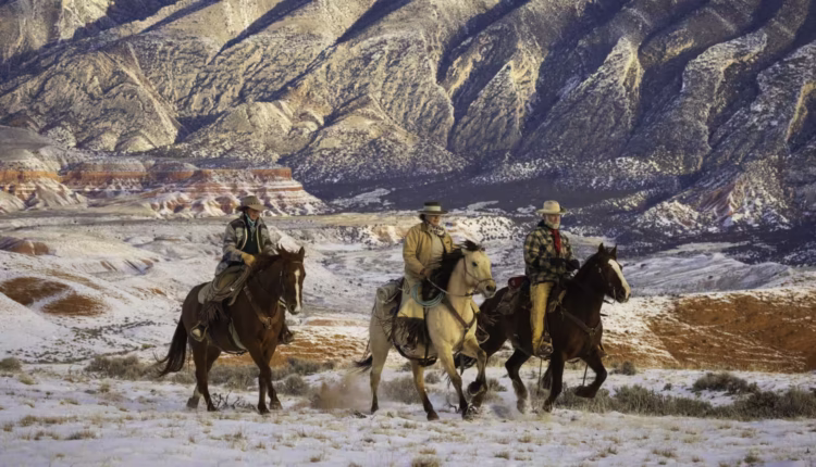 1768667017 social.avif