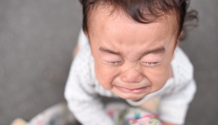 18190443195 725a1c6d2d k.jpg