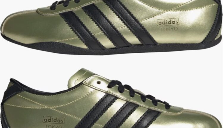 55abb147 8144 4eda bbf9 2acaf8654563 1769016909.jpg