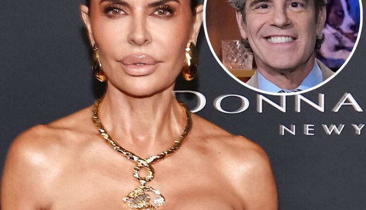 7b628769 8d41 4f67 846e 9525f9b52745 1768070555.jpg