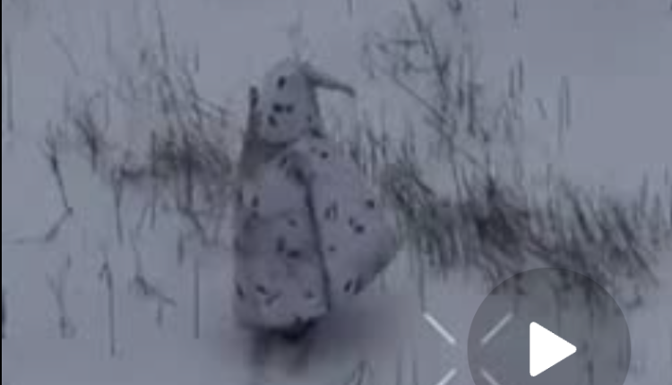 Screenshot 2026 01 27 at 7.40.59 AM.png