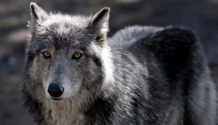 File 20251029 66 zozpbf.jpg