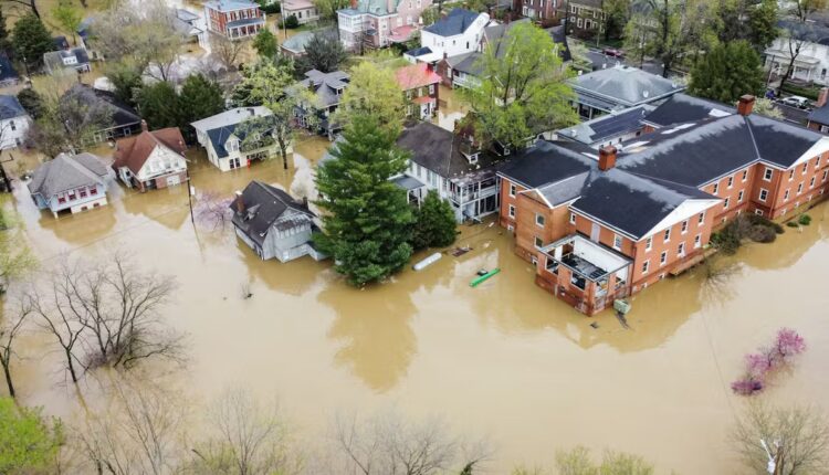 File 20260109 66 vhdimi.jpg