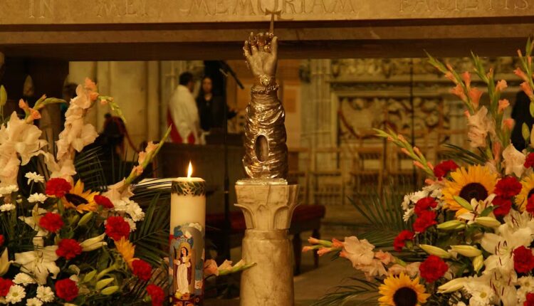 File 20260113 74 wp661c.jpeg