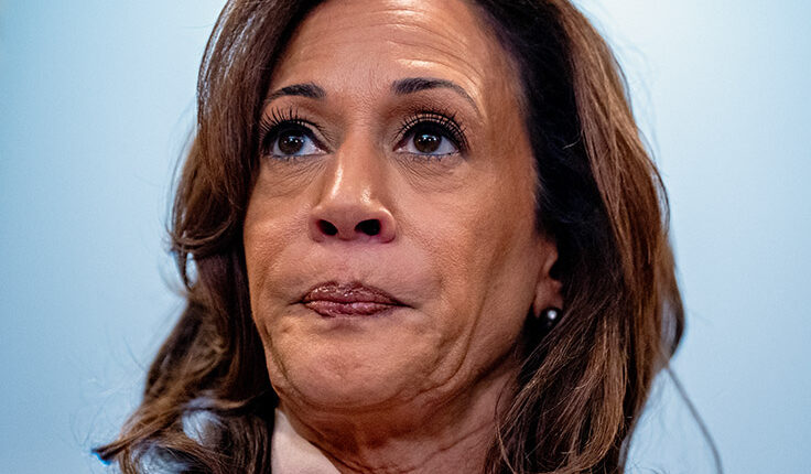 Kamala harris gay.jpg