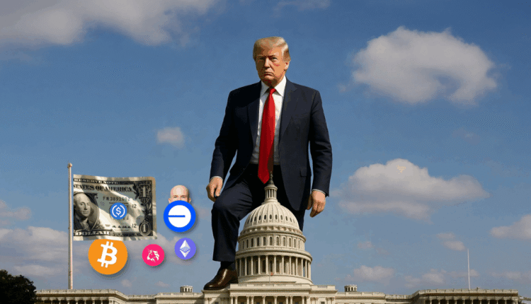 White house rug pull 1.png