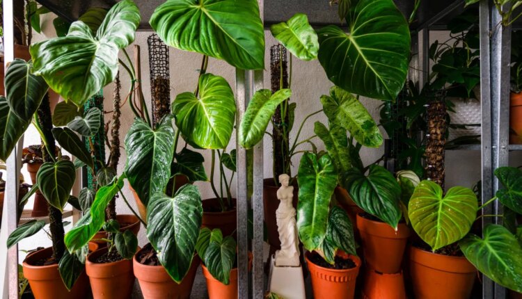 GettyImages 1231726401.jpg