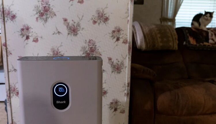 GettyImages 1247236513.jpg