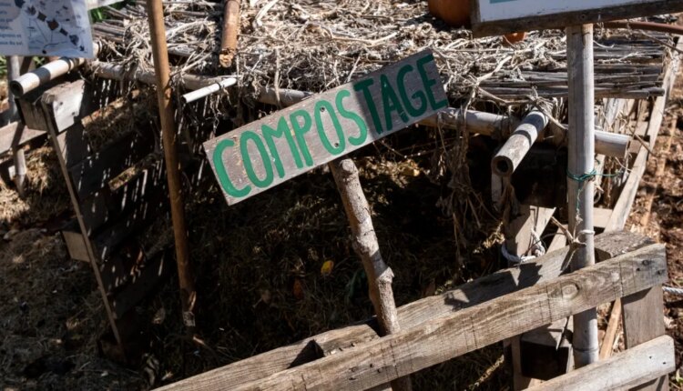 GettyImages 2171972800.jpg