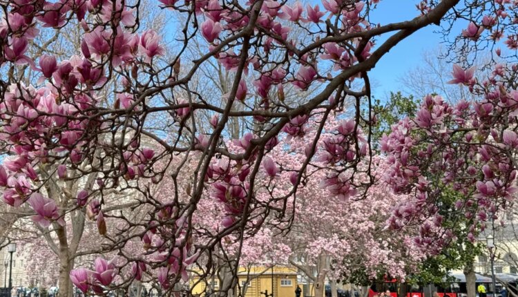 GettyImages 2205748838.jpg