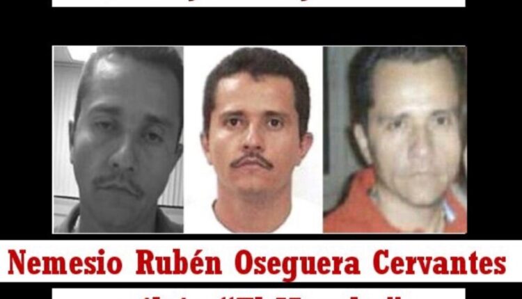 IMG 8950 1000x600.jpeg