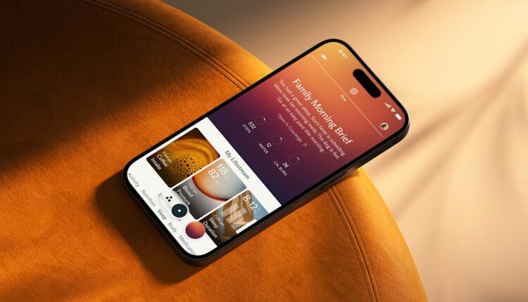 Luffu Family Morning Land.jpg