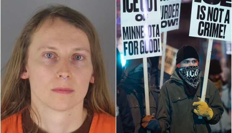 MixCollage 03 Feb 2026 03 10 PM 9137 scaled.jpg