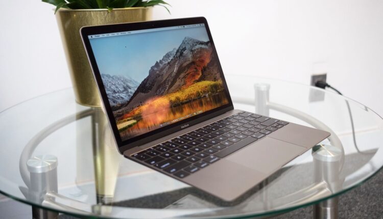 NNEWBJBw2sp3j3DjGVXp5g 1600 80.jpg