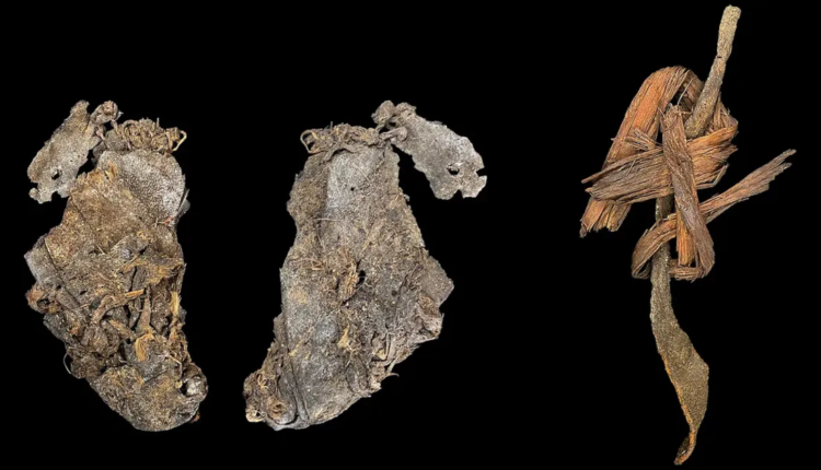 R. Rosencrance et al Science Advances 2026.png