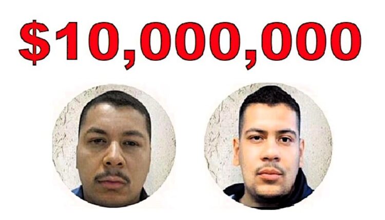 Cartel brothers bounty 1200x630.jpg