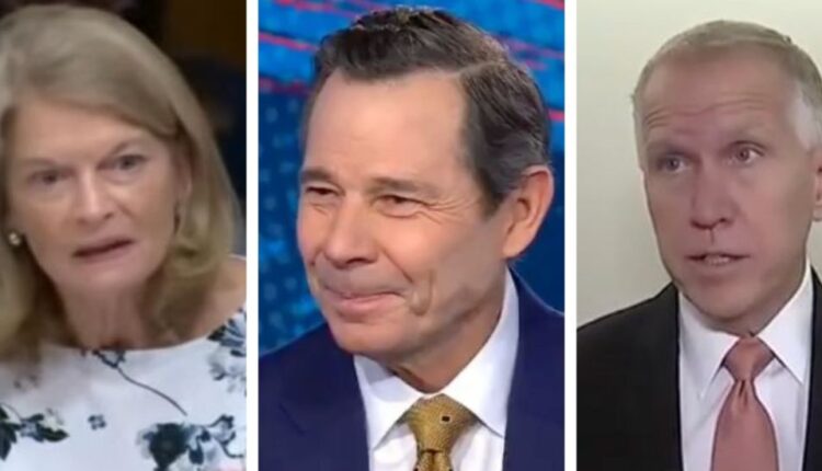 Original pic 2026 02 26T131540.459.jpg