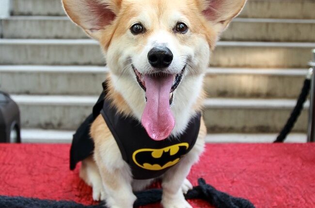 105cbe6b cd68 4e46 8f79 58b408c8beff.jpg