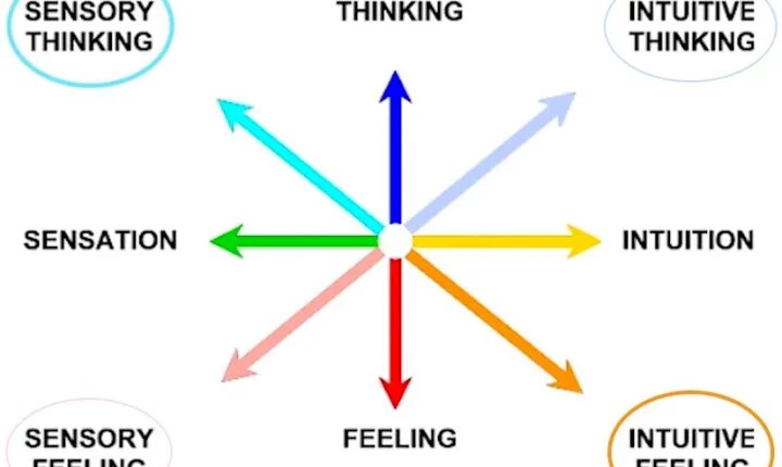 CJungs 4 behavior types.jpg