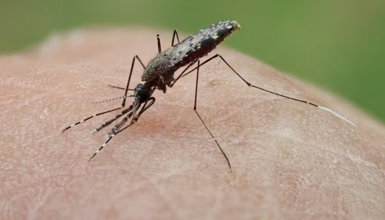 File 20260319 57 o1tmci.JPG