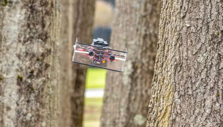 File 20260326 57 y0z01c.jpg