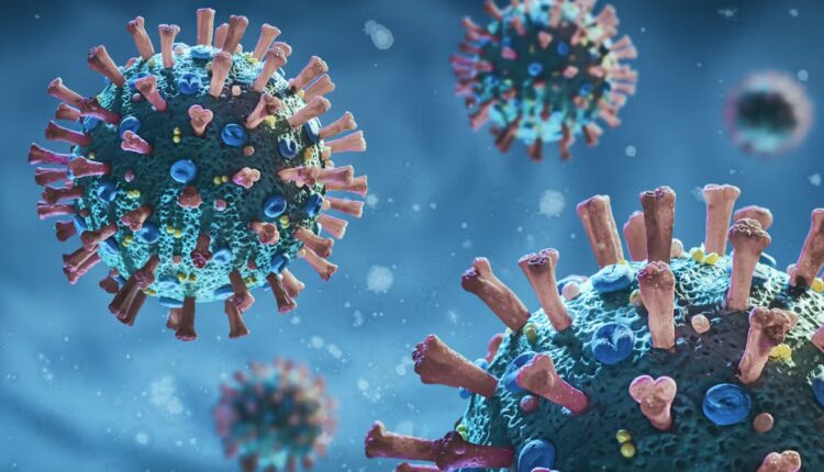 File 20260327 57 pip0nv.jpg