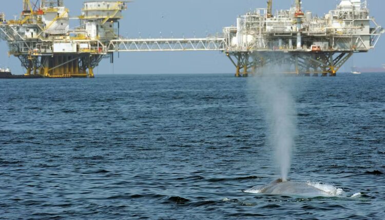 File 20260327 85 2nqhfe.jpg